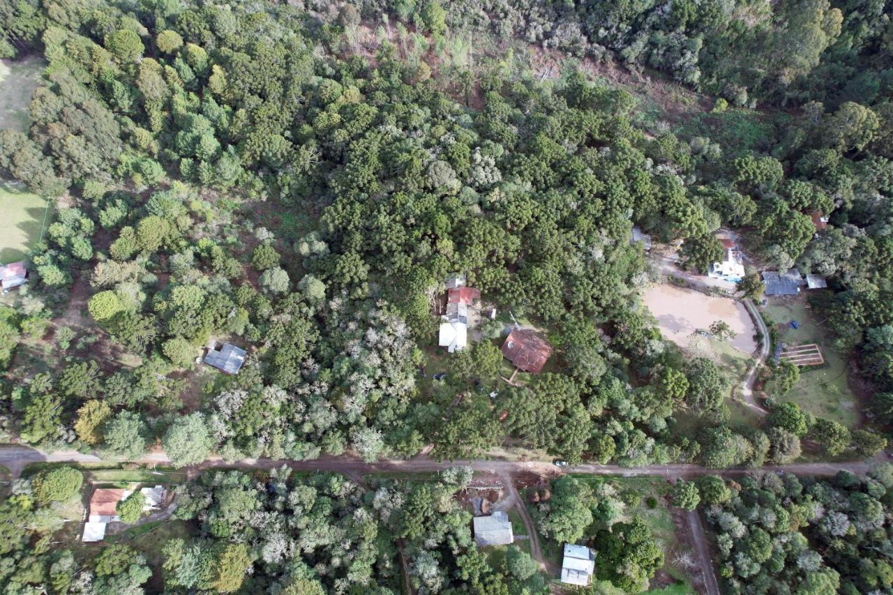 Sitio Dos Amigos Daire Canela Dış mekan fotoğraf