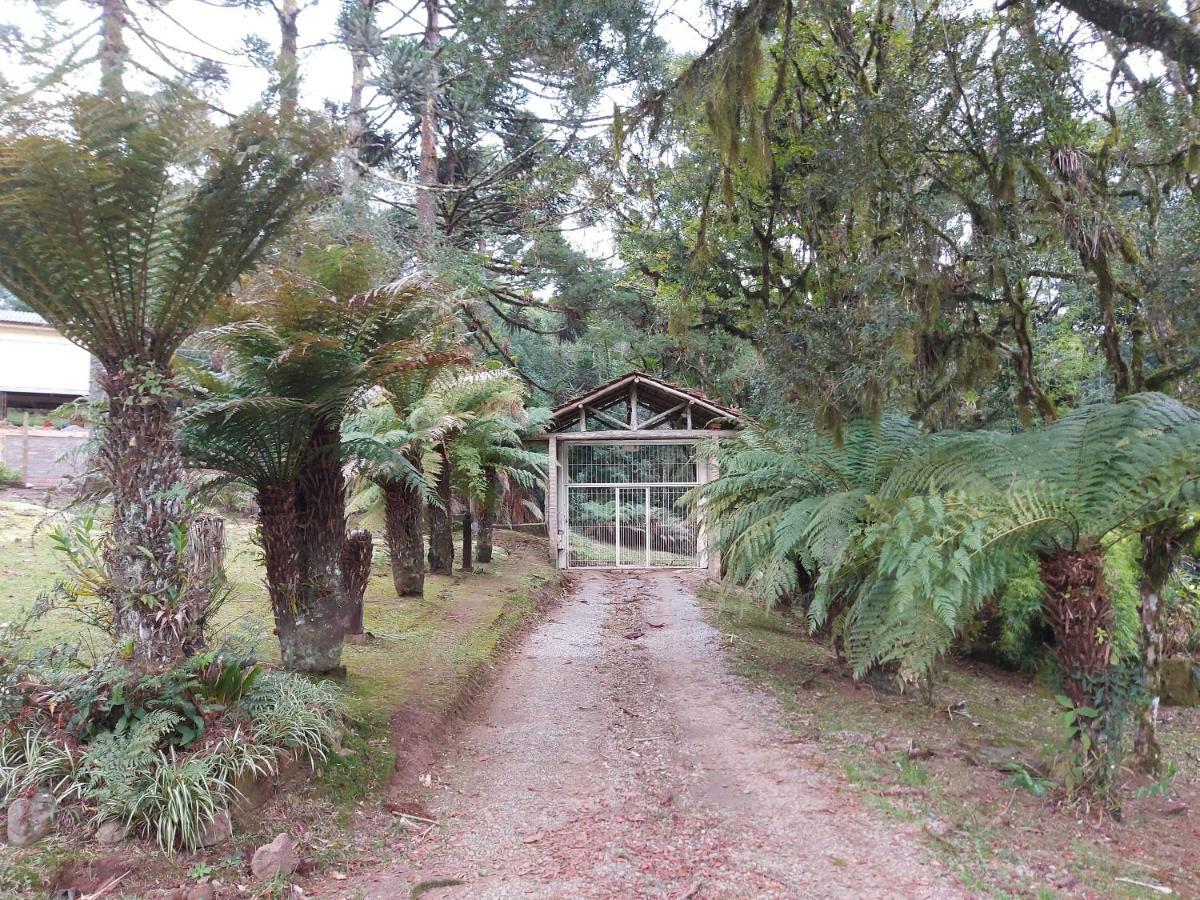 Sitio Dos Amigos Daire Canela Dış mekan fotoğraf